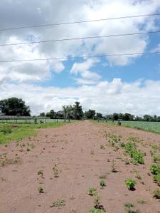 Image of 105 Sq.ft Residential Plot / Land for sale in Makhmalabad, Nashik for Rs. 3600000