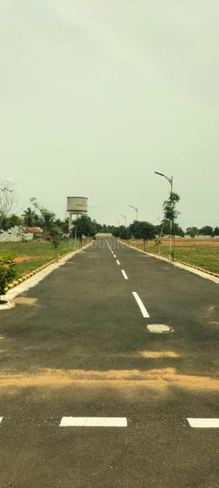 Karamadai Main Image 1