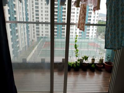 Balcony Image of 750 Sq.ft 2 BHK Apartment / Flat for sale in Pegasus Megapolis Serenity, Hinjawadi Phase 3 Pune for Rs. 7700000