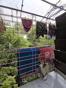Balcony Image of 910 Sq.ft 2 BHK Apartment / Flat for sale in Shukrawar Peth Pune for Rs. 17900000