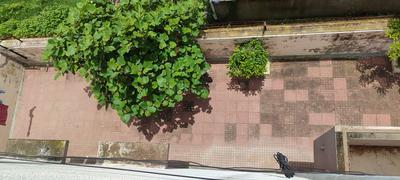 Image of 2654 Sq.ft 3 BHK Independent House for sale in Purushottam Nagar, Anand for Rs. 6000000