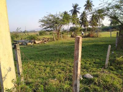Residential Plot
