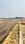 Aranya city Plot View 2