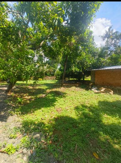 Ollukkara Main Image 1