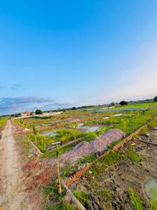 Residential Plot