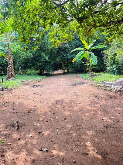 Mannuthy Main Image 1