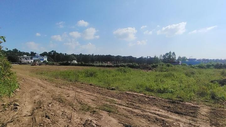 Bhauwala Main Image 1