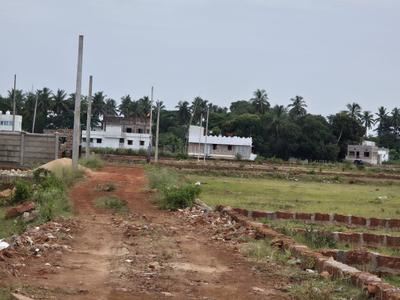 Uttara Plot View 2