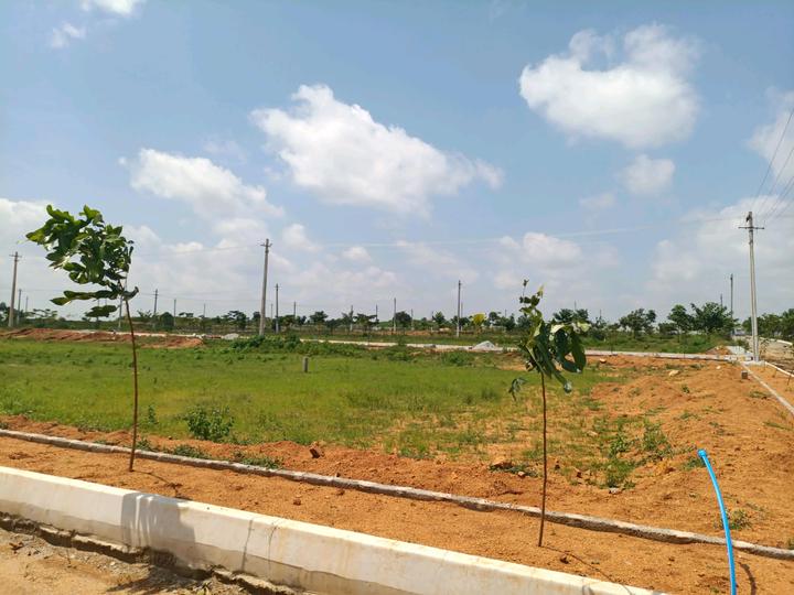 MS Developers Main Image 1