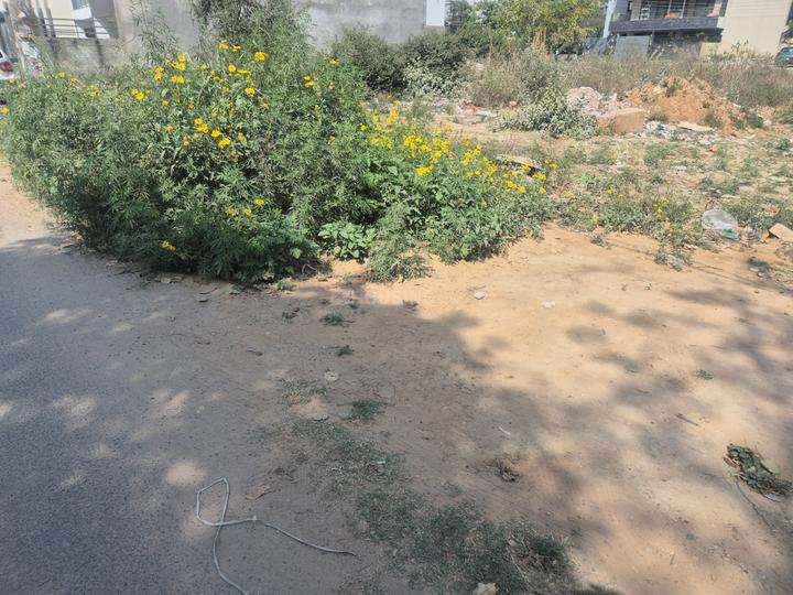 M2K County Main Image 1