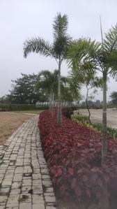 Image of 1500 Sq.ft Residential Plot / Land for sale in Raipura, Raipur for Rs. 1875000