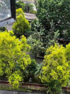 Image of 500 Sq.ft 2 BHK Apartment / Flat for sale in Bengal Greenfield Ambition, Rajarhat, Kolkata for Rs. 5500000