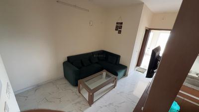 Living Room Image of 550 Sq.ft 2 BHK Apartment / Flat for rent in Pivotal Riddhi Siddhi, Sector 99 Gurgaon for Rs. 27000