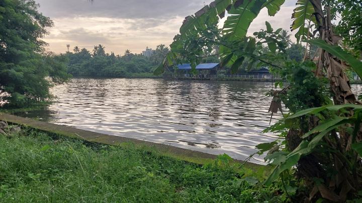 Residential Plot Main Image 1