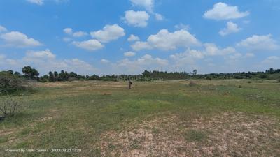 Residential Plot