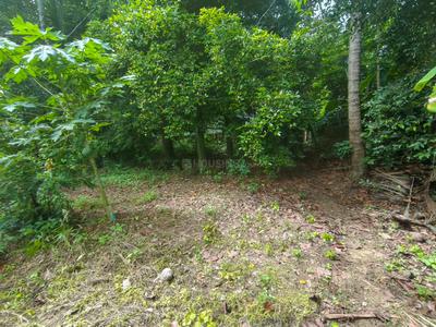 Image of 3485 Sq.ft Residential Plot / Land for sale in Chendamangalam, Kochi for Rs. 3600000
