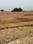Ganjari Main Image 1