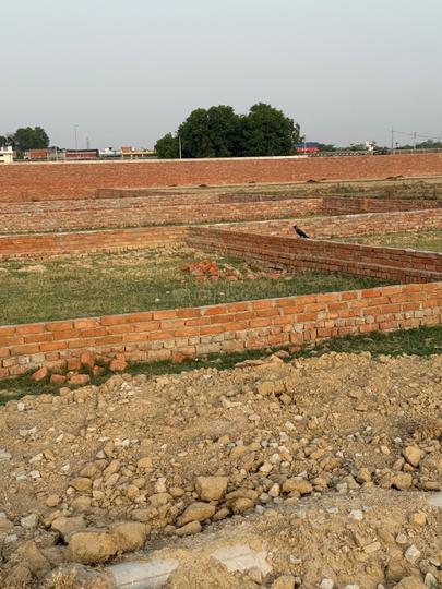 Ganjari Main Image 1