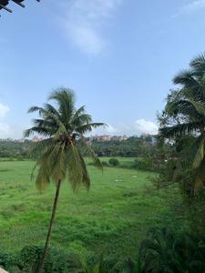 Image of 1636 Sq.ft 3 BHK Penthouse for sale in Naroo Palmanova, Panjim, Goa for Rs. 25000000