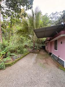 Image of 10890 Sq.ft 3 BHK Independent House for sale in Karuvanchal, Kannur for Rs. 6200000