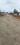 Belladhi Main Image 1