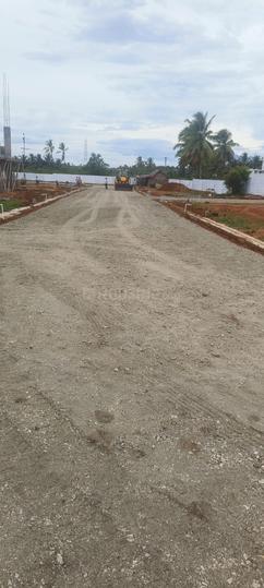 Belladhi Main Image 1