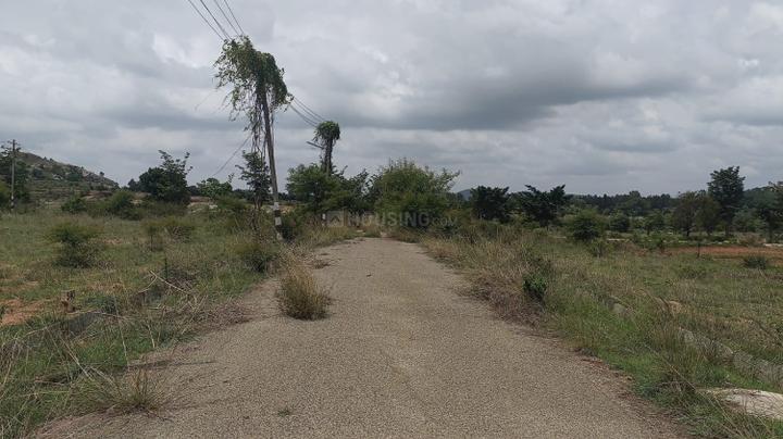 Dodda Aalada Mara Main Image 1