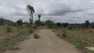 Dodda Aalada Mara Plot View 1