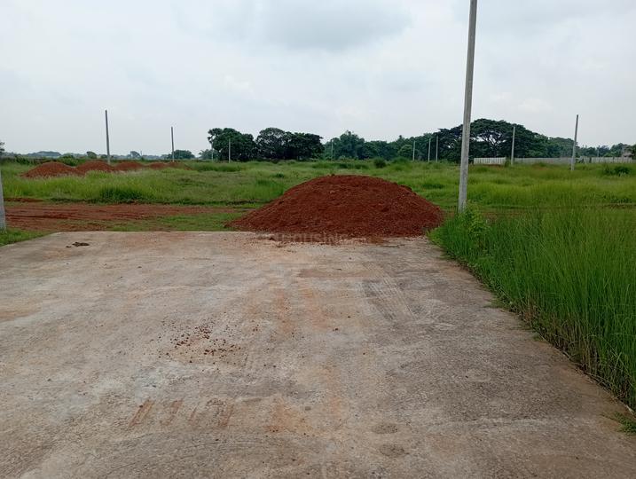 SURABHI NAGAR Main Image 1