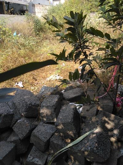ROYAL RAJPUTANA CO Main Image 1