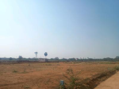 Residential Plot