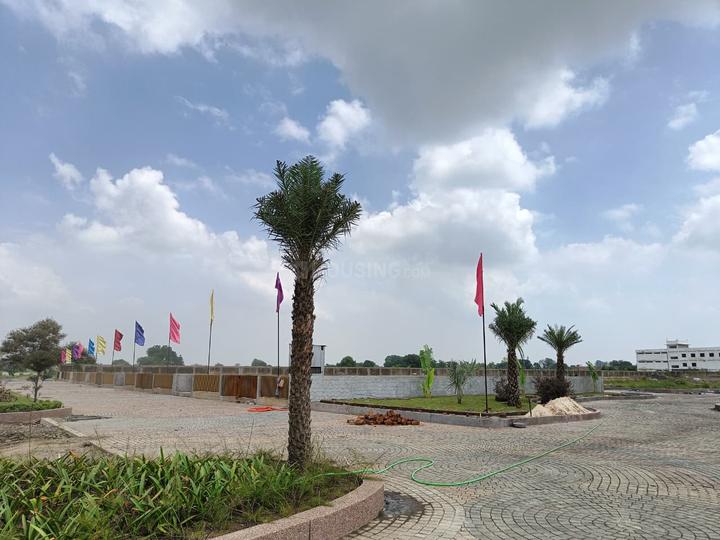 Manglia Main Image 1