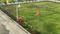 Riyasat Royal Crest Plot View 2