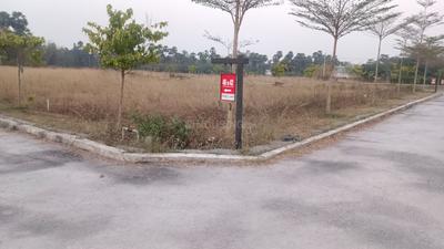 Pendhurthi Sabbavaram Plot View 2