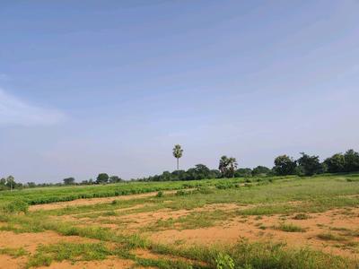 Image of 184 Sq.ft Residential Plot / Land for sale in Alair, Yadadri Bhuvanagiri for Rs. 1800031
