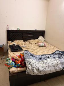 Bedroom Image of 530 Sq.ft 1 BHK Apartment / Flat for rent in Gaurs 14th Avenue, Noida Extension Greater Noida for Rs. 16501