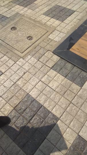 Vikas Gemini Heights III Apartment Main Image 1