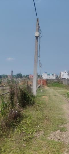 Assangi Main Image 1