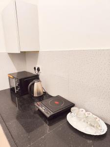 Kitchen Image of 500 Sq.ft 1 BHK Apartment / Flat for rent in Mahalakshmi Nagar Indore for Rs. 17000