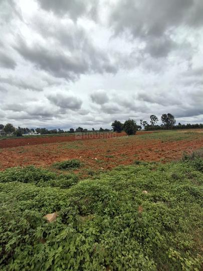 Devanahalli Main Image 1