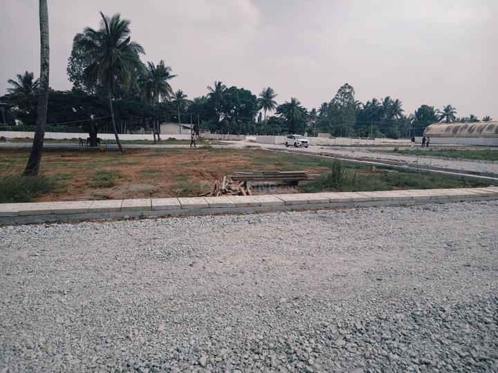 Sunrise Garden  Main Image 1