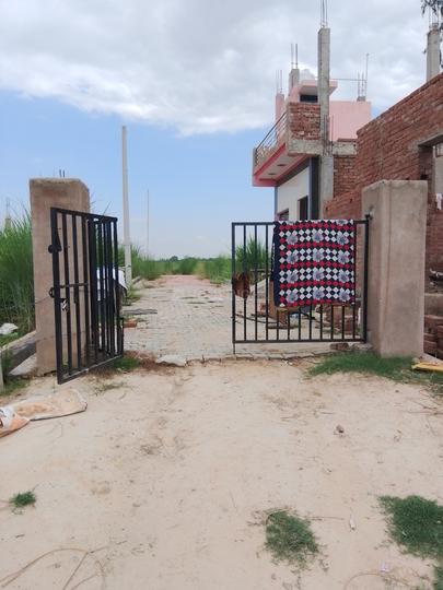 Jarauli Main Image 1