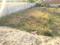 Chhapraula Plot View 2