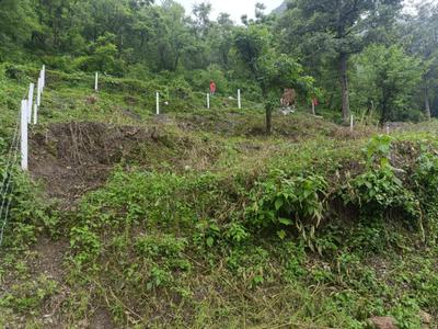 Image of 767 Sq.ft Residential Plot / Land for sale in Sahastradhara Road, Dehradun for Rs. 35000000