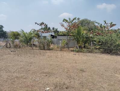 Residential Plot