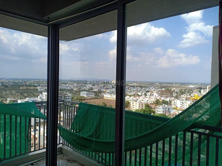 Apollo DB City Main Image 1