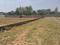 Bihta Plot View 2