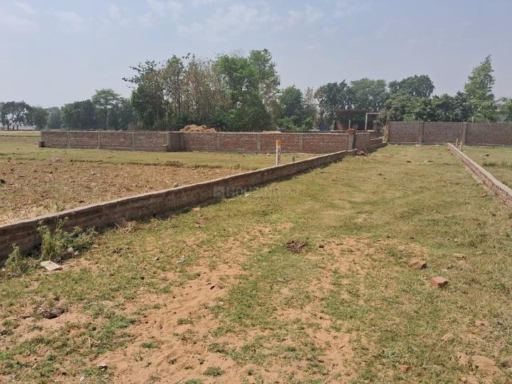 Bihta Main Image 1