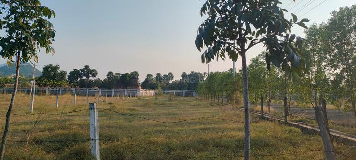 Venugopalapuram Main Image 1