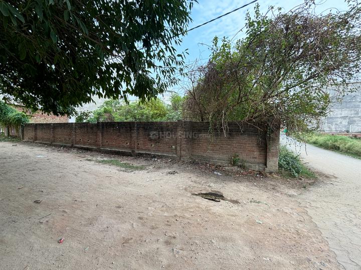 Kandwa Main Image 1